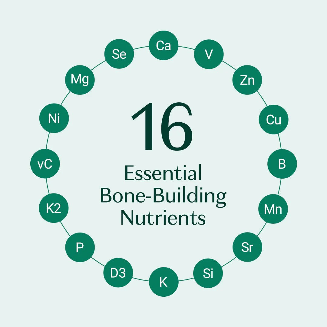 ALGAECAL Bone Builder Pack, Calcium + Strontium for Bone Density, 1 Month