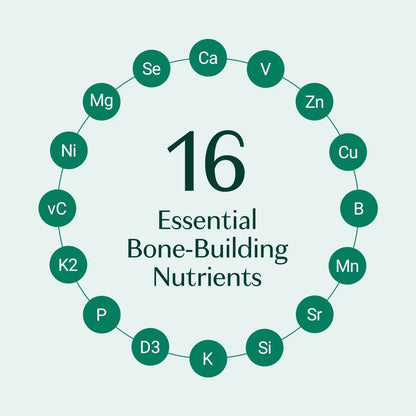 ALGAECAL Bone Builder Pack, Calcium + Strontium for Bone Density, 1 Month